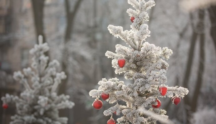 Зима в Україні може побити рекорди: коли прийдуть морози та чого чекати на Новий рік