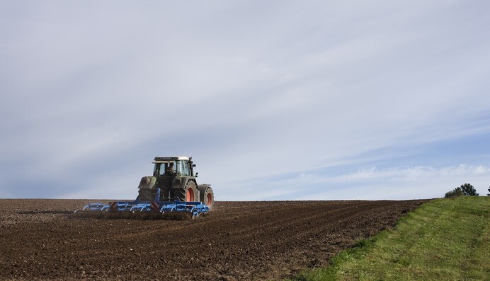 Почему Академия аграрных наук провалилась в собственных аграрных проектах
