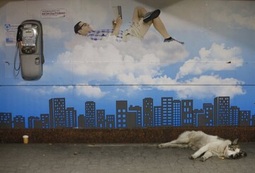 Молчание Ахметова: Украина получила тревожный сигнал по скандальной компании