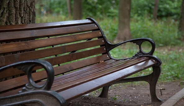 Бюрократы в Киевсовете срезают под корень идею появления нового сквера