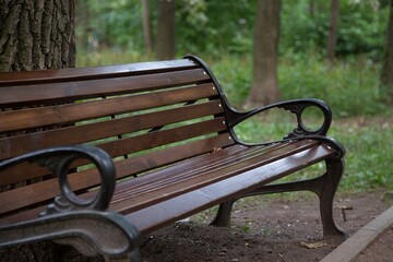 Бюрократы в Киевсовете срезают под корень идею появления нового сквера