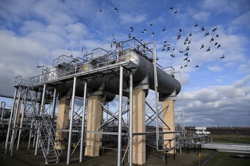 Потеряно минимум два года: почему Украина проваливает программу перехода на свой газ