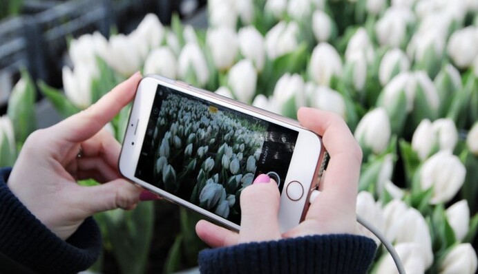 Погода на 8 марта и все выходные: без сюрпризов не обойдется
