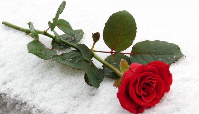 Холостяк-8: кто покинул шоу в третьем выпуске, а кто получил подарок