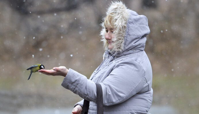 Коли закінчиться сніг і в Україну прийде справжня весна: синоптики назвали дати