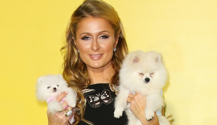 Летнее платье и шпильки: Пэрис Хилтон удивила нарядом для визита в Украину