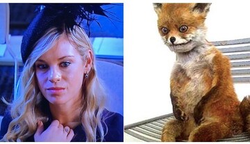 Гостей принца Гарри и Меган Маркл растащили на фотожабы