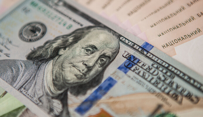 В Украине снова вырастет курс доллара: прогноз на лето и до конца года