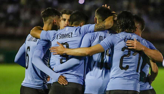 Египет - Уругвай - 0:1 Хроника матча, видео гола