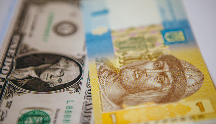 У гривны новые проблемы: каким будет курс доллара до конца лета
