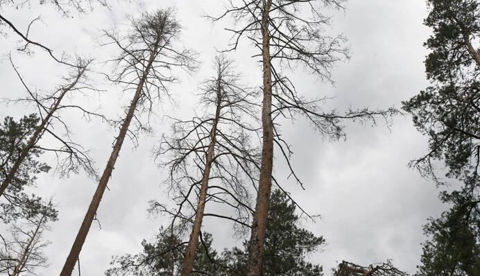 Марсіанські пейзажі вже тут: Україні загрожує потужна екологічна катастрофа
