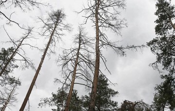 Марсіанські пейзажі вже тут: Україні загрожує потужна екологічна катастрофа