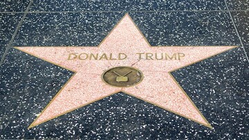 На Аллее славы появились десятки звезд Дональда Трампа