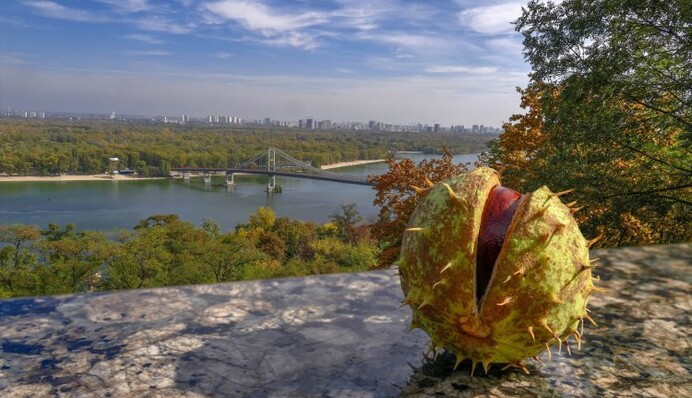 І знову літо: синоптики розповіли, як зміниться погода в Україні