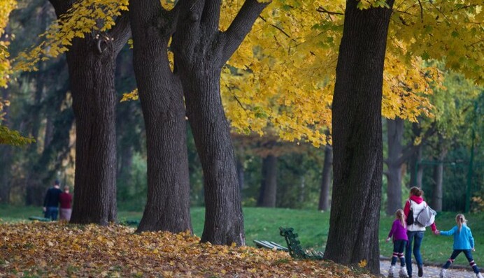 Другая погода: в Украину идет резкое похолодание с дождями