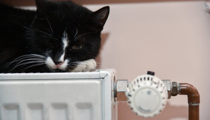 Сюрпризы от России: что помешает Украине пережить зиму