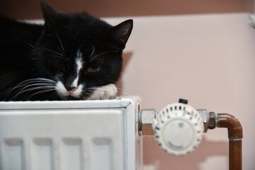 Сюрпризы от России: что помешает Украине пережить зиму