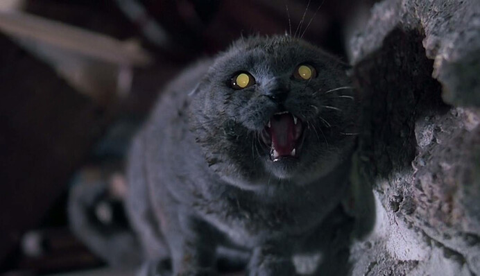 Кладбище домашних животных: вышел трейлер нового фильма по роману Стивена Кинга