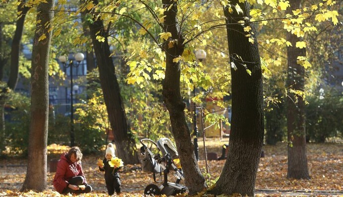 Тепло, але зима близько: синоптики розповіли про погоду на свята