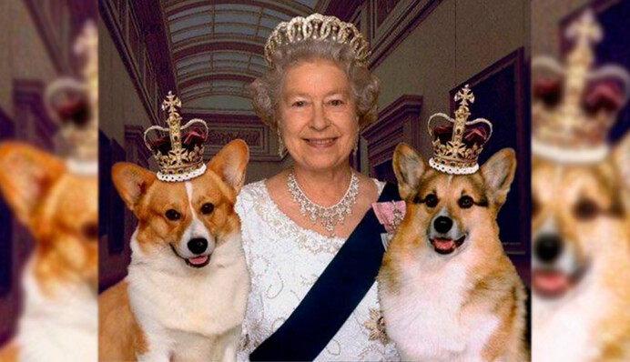 В королевской семье умер последний пес корги