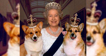 В королевской семье умер последний пес корги