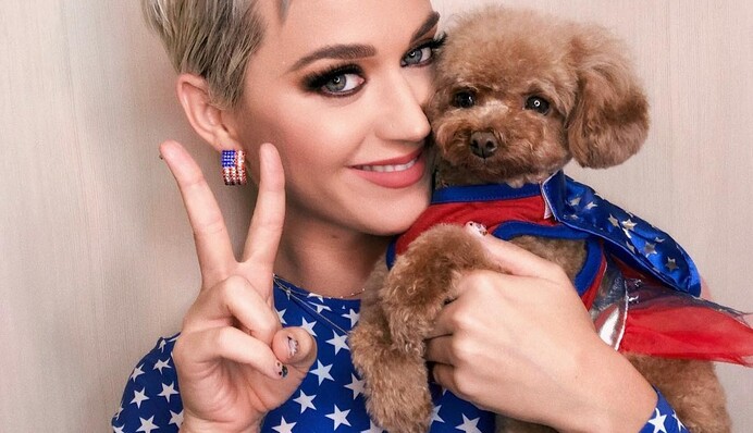 Forbes назвал самую высокооплачиваемую певицу 2018 года