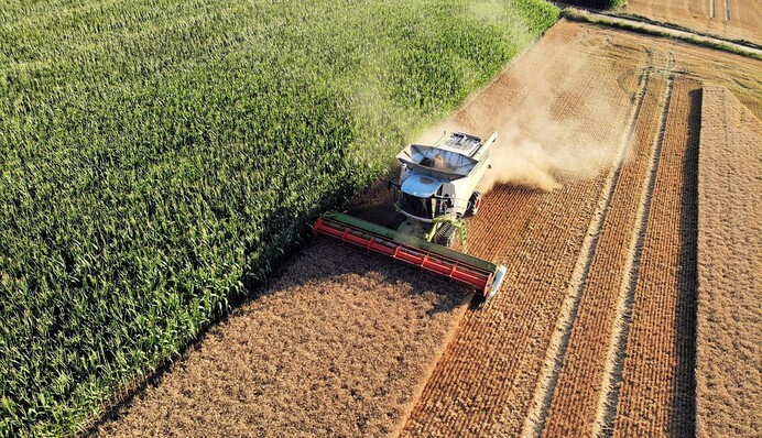 Идеология XXI века: почему Nestlé поддерживает концепцию устойчивого развития в сельском хозяйстве