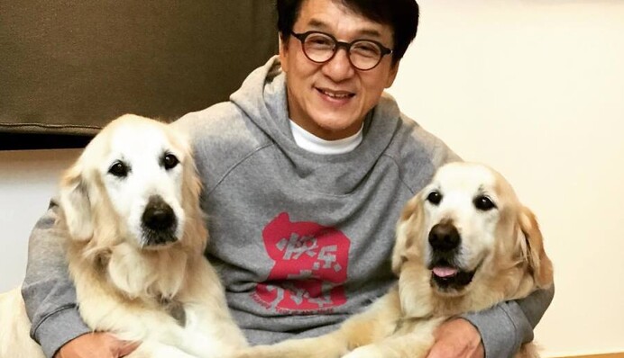 Джеки Чан изменял жене с проститутками