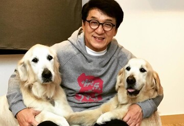 Джеки Чан изменял жене с проститутками