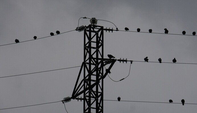 Без денег: почему в Украине сорвалась 