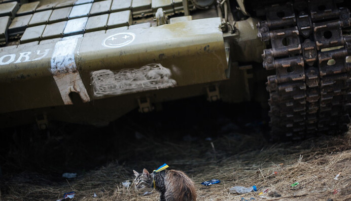 Війна в Україні може піти у відкриту - французький експерт