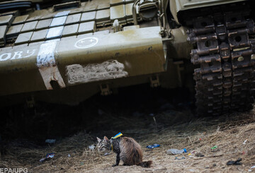 Война в Украине может пойти в открытую - французский эксперт