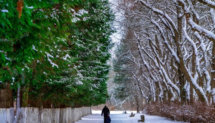 Холодно, але не дуже: синоптики попередили про зміну погоди в Україні