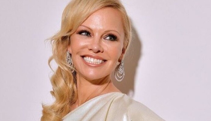 Памела Андерсон блеснула обнаженным бюстом на вечеринке