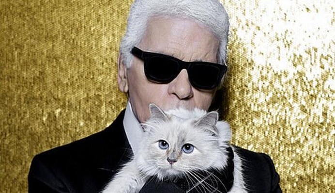 Состояние Карла Лагерфельда может унаследовать его кошка
