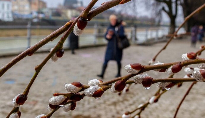 Удивительное начало: синоптики рассказали о погоде в первые дни весны