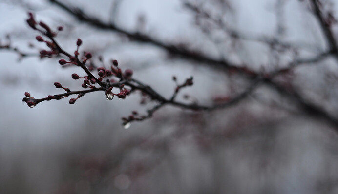 Коли повернеться тепло: синоптики розповіли про погоду на тиждень