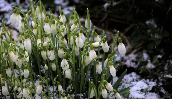 Зима возвращается: синоптики рассказали о погоде в последнюю неделю марта