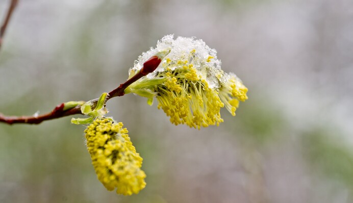 Дожить до выходных: синоптики удивили прогнозом погоды на неделю