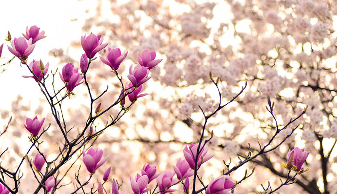 Дождались: синоптики порадовали погодой на выходные