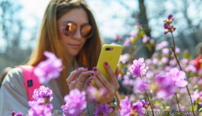 Теплый весенний экватор: синоптики дали прогноз на неделю