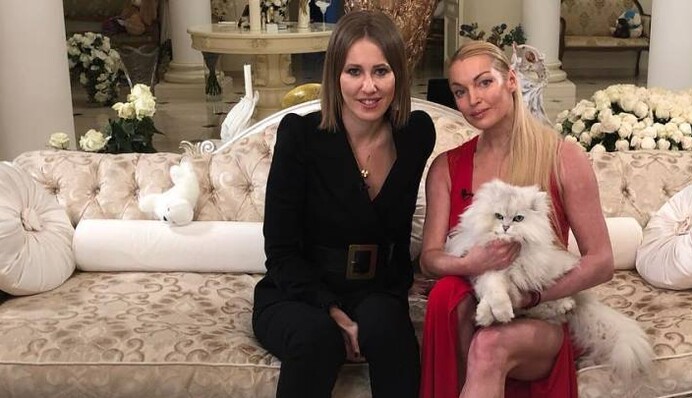 Получила бессовестную пакость и мерзость: Волочкова сожалеет, что пустила Собчак в свой дом