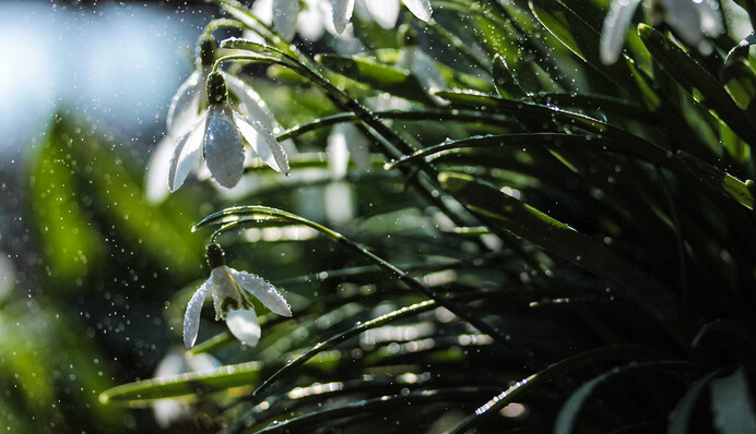 Три хвилі холоду і травнева спека: синоптик розповів про погоду до кінця весни