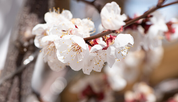 Возможны даже заморозки: синоптики рассказали о погоде на выходные