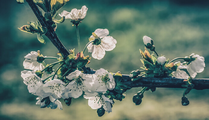 Будет ли тепло: синоптики дали прогноз на неделю