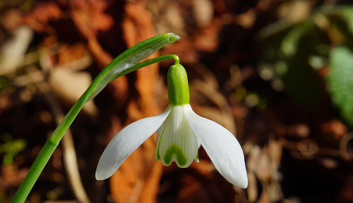 Наступают грозы: какой погоды ждать на Вербное воскресенье и страстную неделю