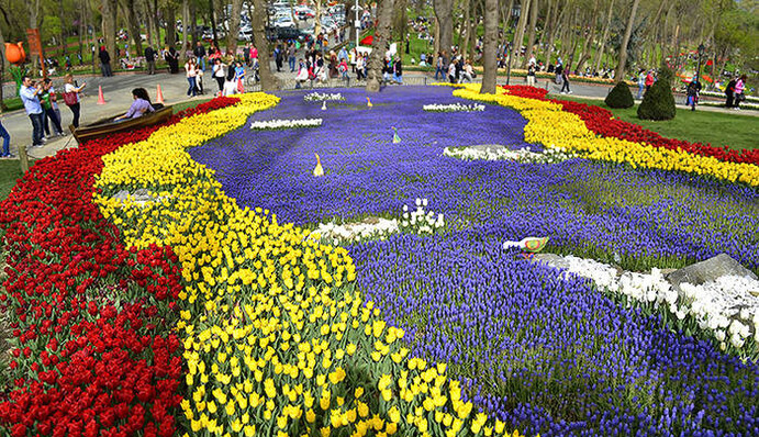 Фестиваль тюльпанов и именины Егора: какой праздник 10 мая