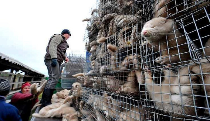 Троянский конь из Европы: как в Украине создают опасные производства