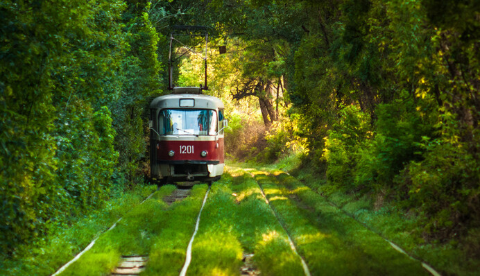 Ліквідація депутатів та коралові трамваї: найдивніші петиції українців