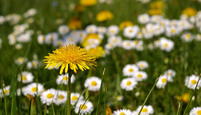 Неужели тепло: синоптики дали прогноз на выходные